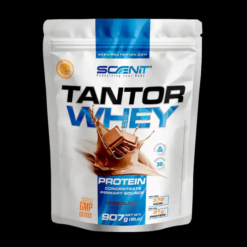 Tantor Whey Protein 908 g – Scenit Nutrition de SCENIT NUTRITION