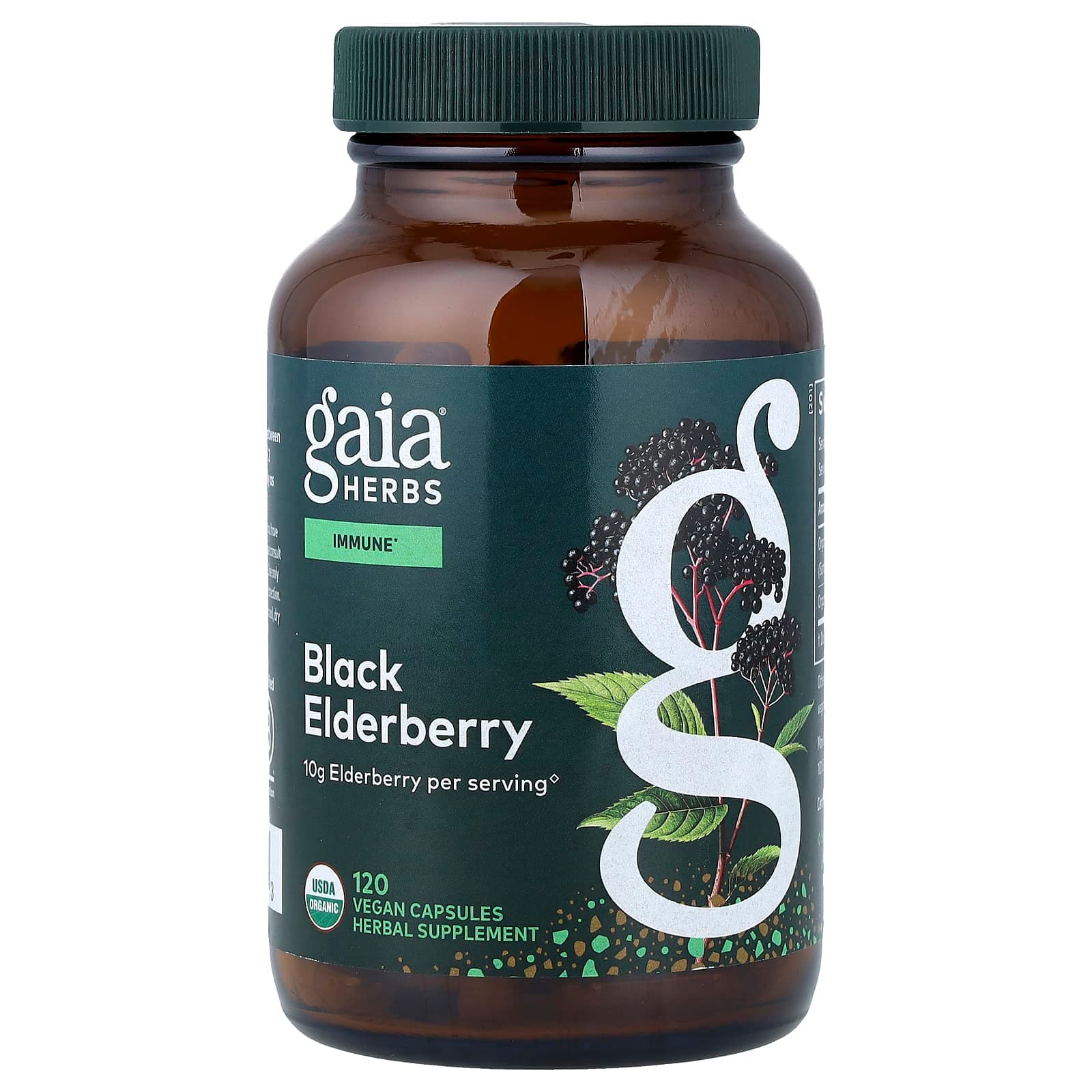 Gaia Herbs Black Elderberry – Black Elderberry – 120 gélules véganes de Gaia Herbs