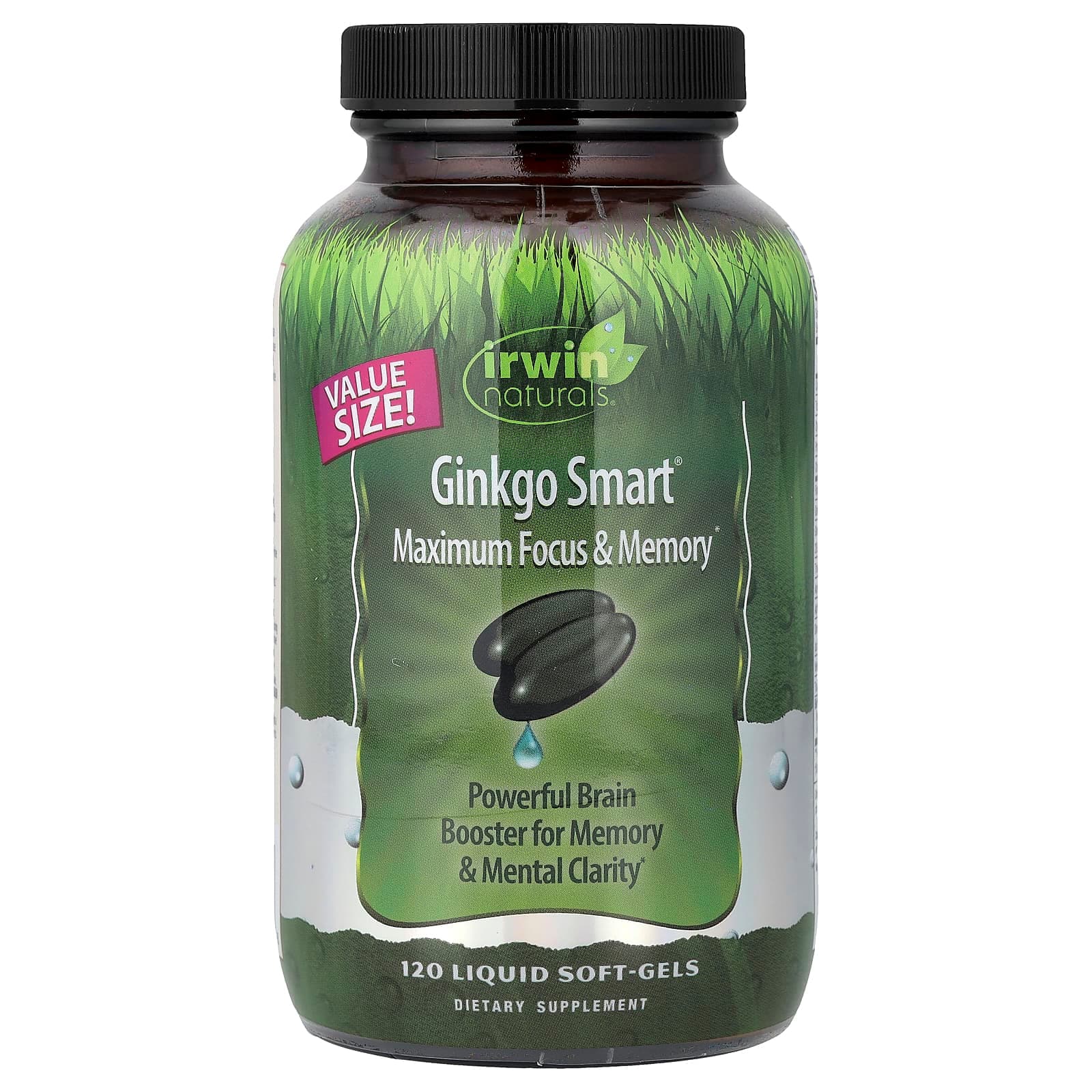 Irwin Naturals Ginkgo Smart, Maximum Focus & Memory, 120 Liquid Soft-Gels de Irwin Naturals