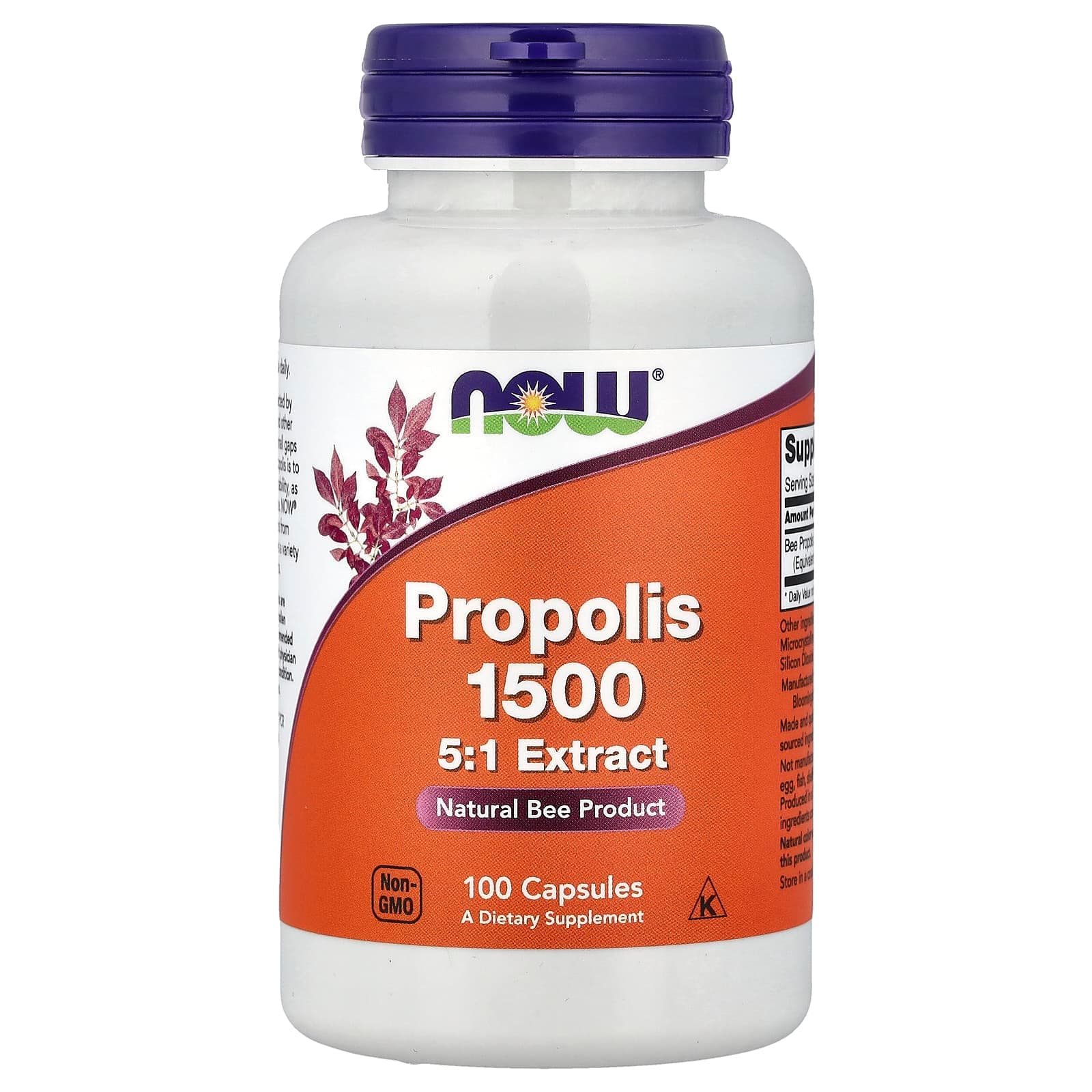 NOW Foods Propolis 1500 – 100 gélules de NOW Foods