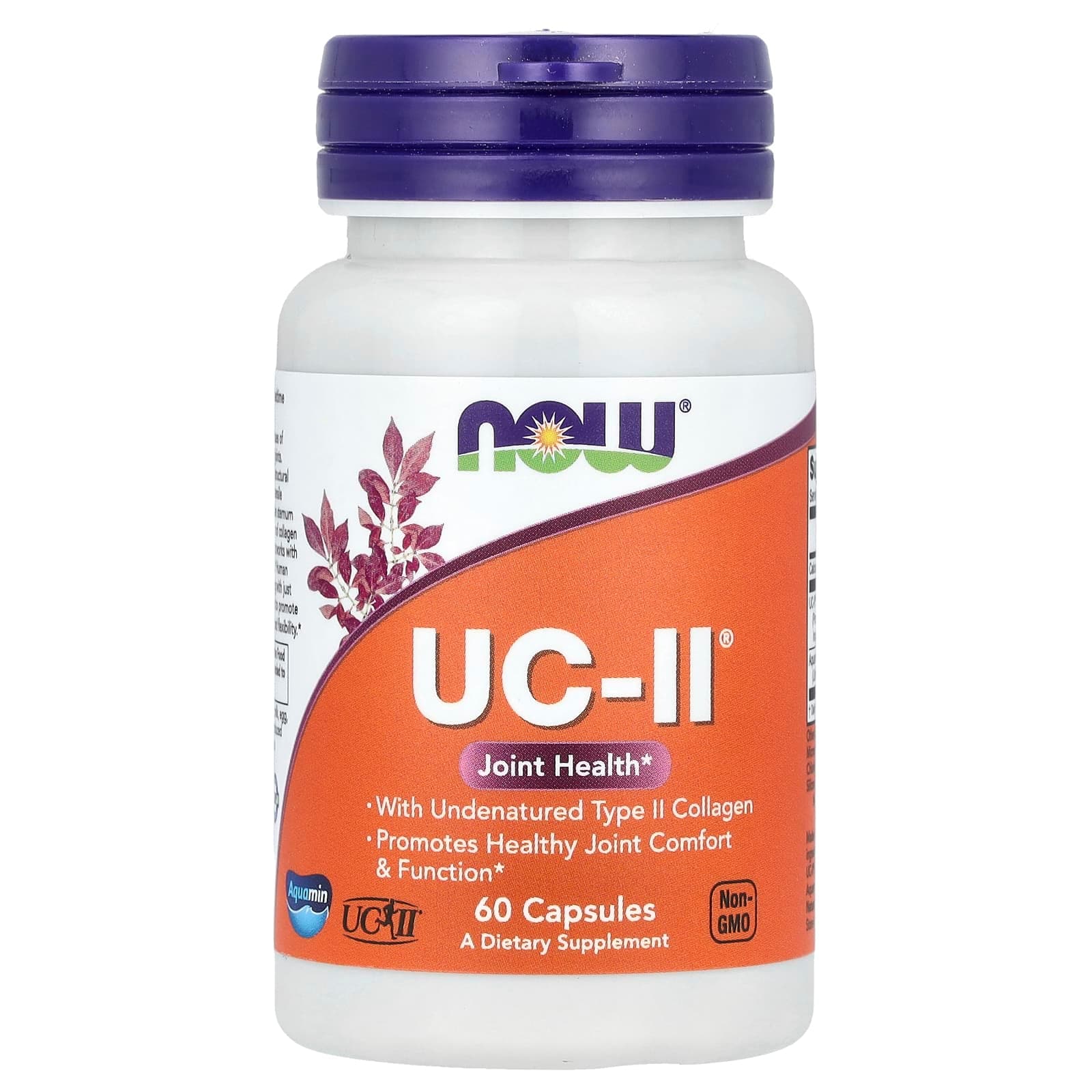 NOW Foods UC-II Joint Health with Undenatured Type II Collagen – 60 gélules de NOW Foods