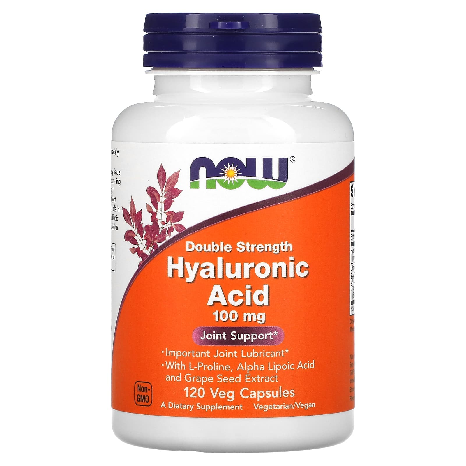 NOW Foods Hyaluronic Acid With L-Proline – Alpha Lipoic Acid and Grape Seed Extract – 120 gélules végétales de NOW Foods