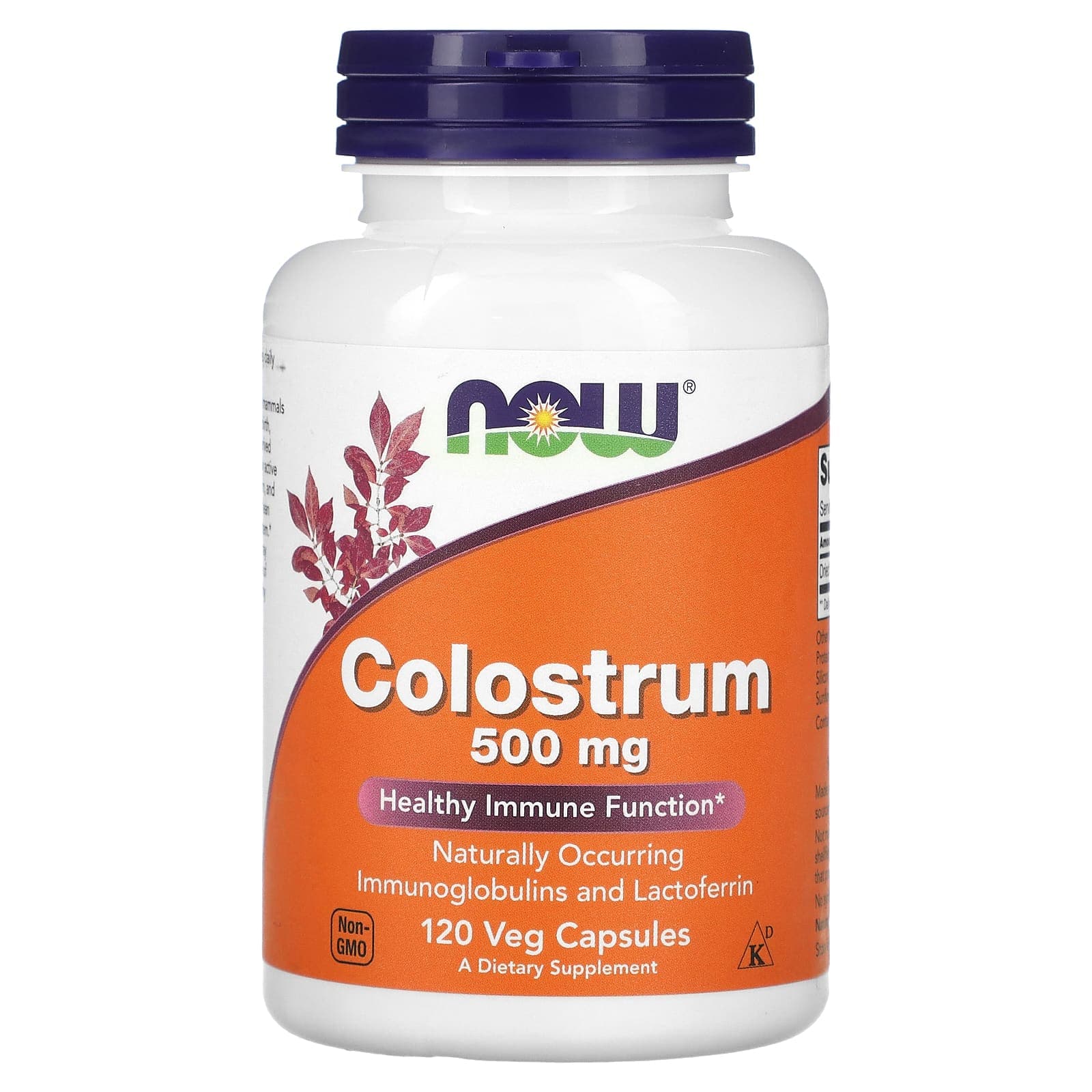NOW Foods Colostrum – 120 gélules végétales de NOW Foods