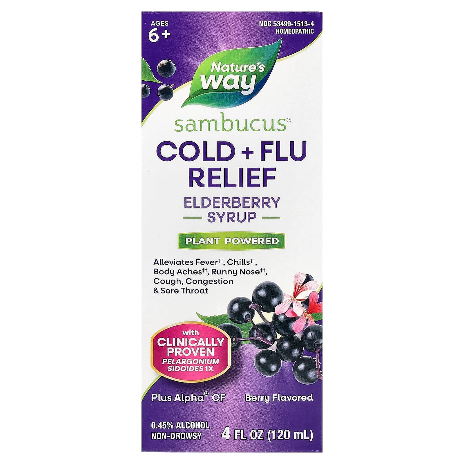Nature's Way Sambucus, Cold + Flu Relief, Berry – Elderberry Syrup – 120 ml de Nature's Way