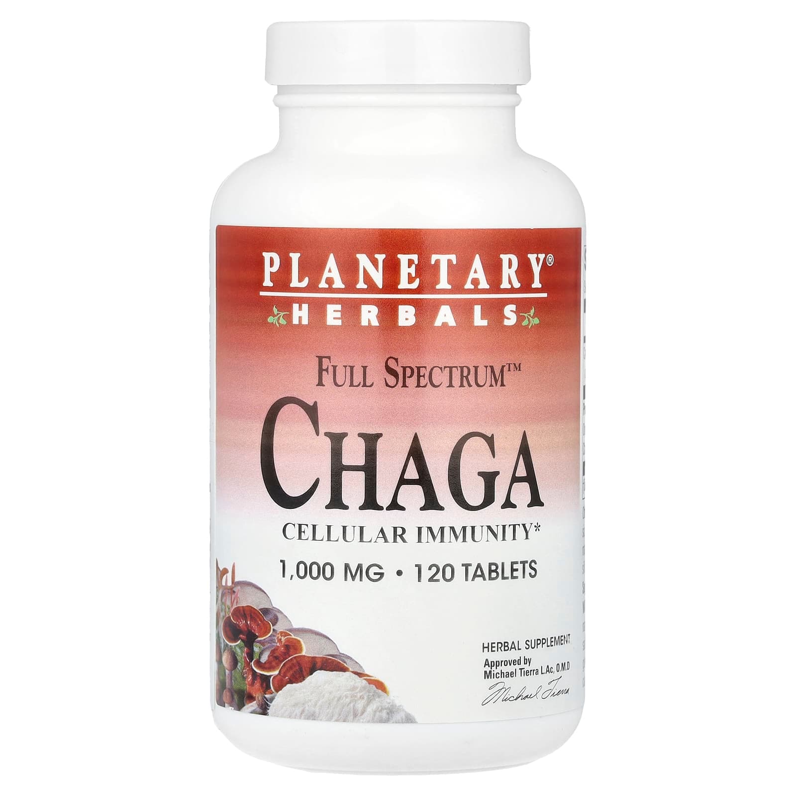 Planetary Herbals Full Spectrum Chaga – 120 comprimés de Planetary Herbals