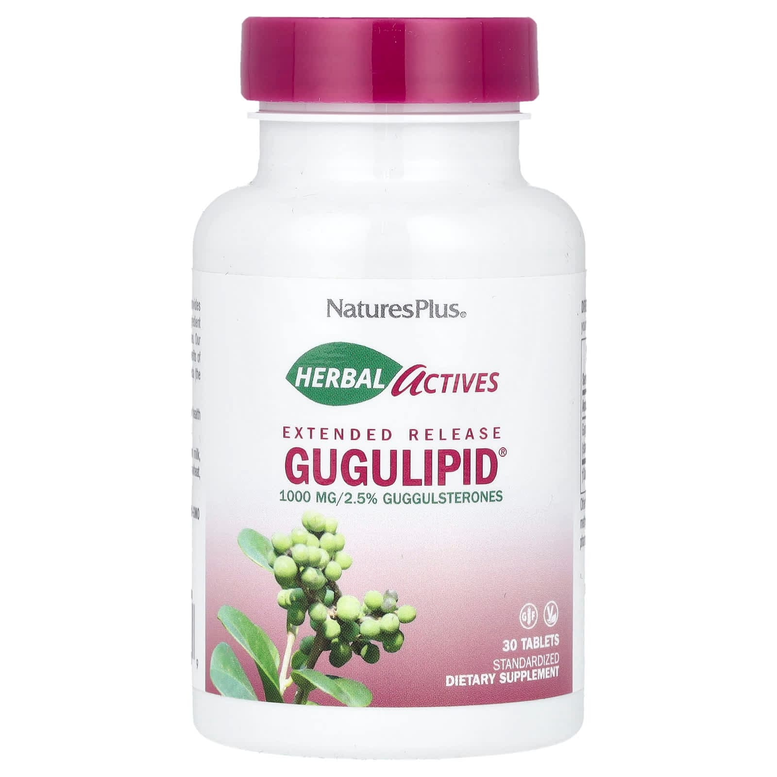 NaturesPlus Herbal Actives, Gugulipid, Extended Release – 30 comprimés de NaturesPlus