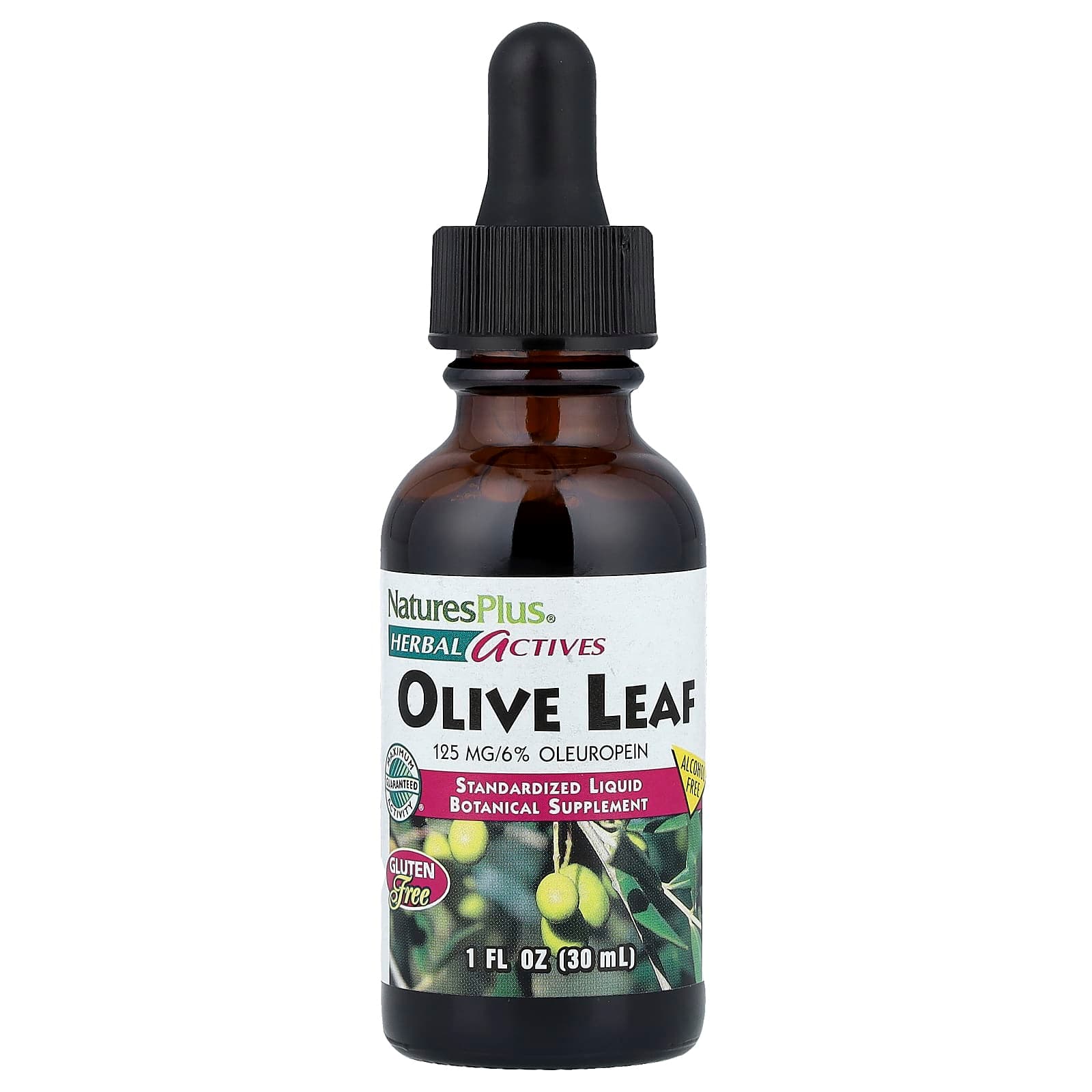 NaturesPlus Herbal Actives, Olive Leaf, Alcohol Free – 30 ml de NaturesPlus