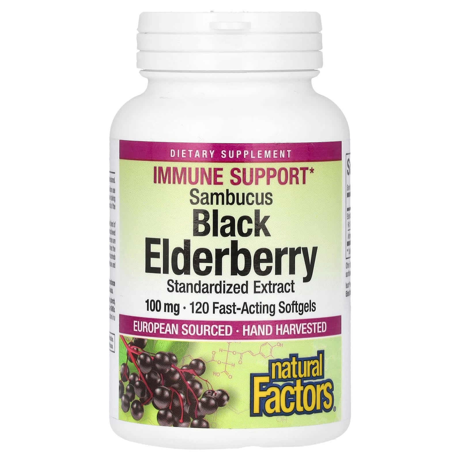 Natural Factors Sambucus Black Elderberry – Sambucus Black Elderberry – 100 mg de Natural Factors