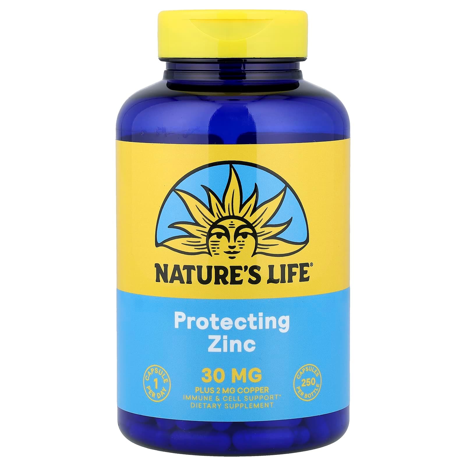 Nature's Life Protecting Zinc Plus Copper – 250 gélules de Nature's Life