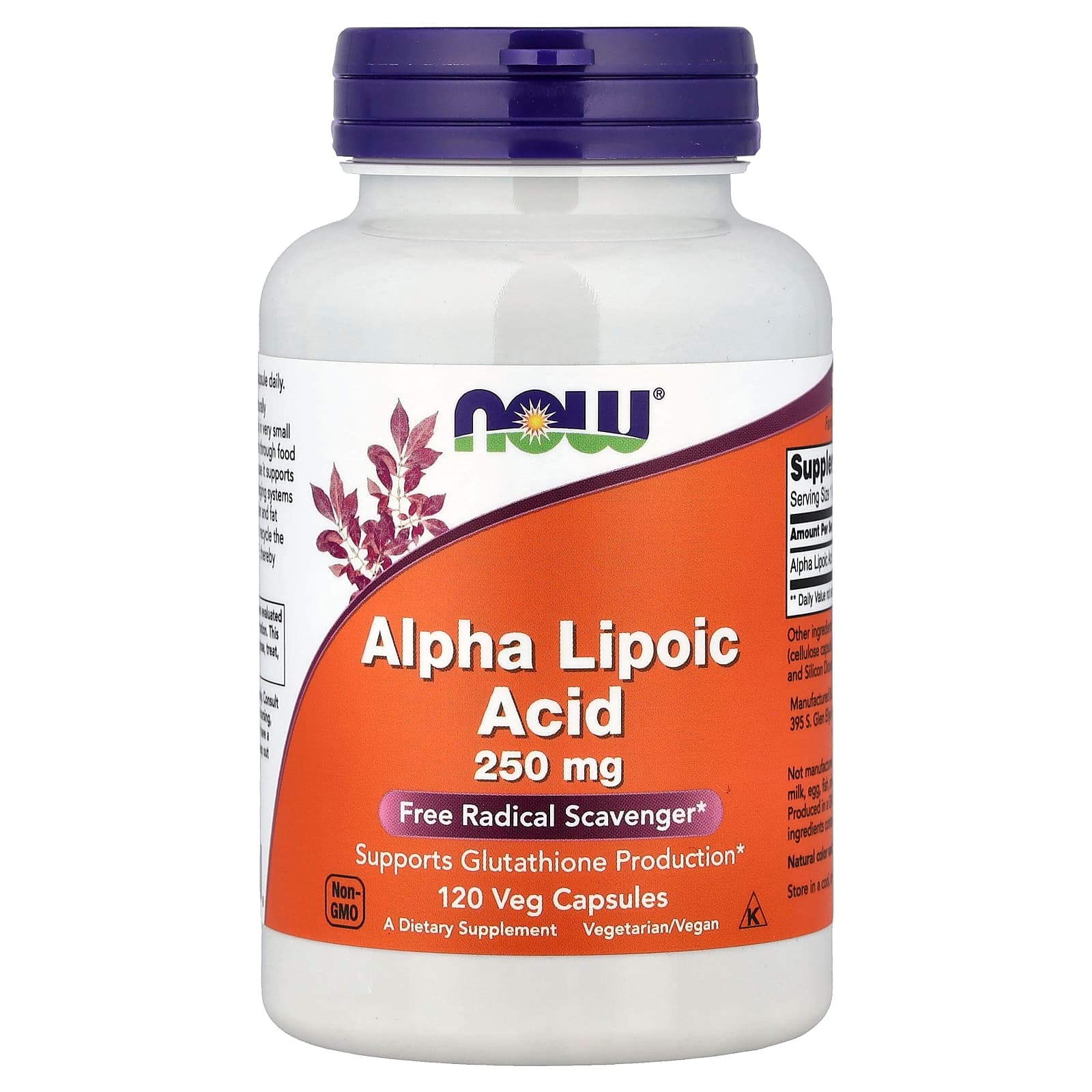 NOW Foods Alpha Lipoic Acid – 120 gélules végétales de NOW Foods