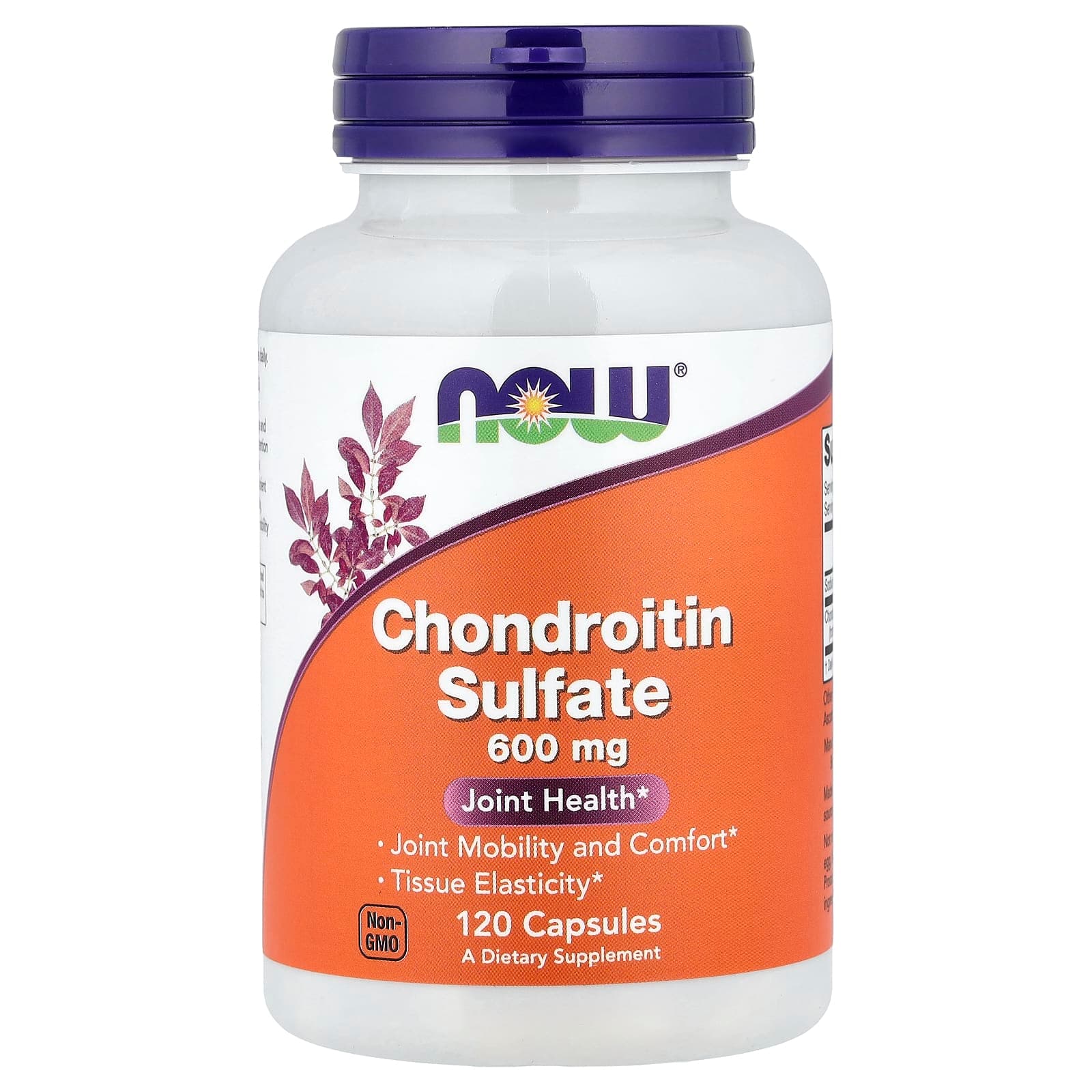 NOW Foods Chondroitin Sulfate – 120 gélules de NOW Foods