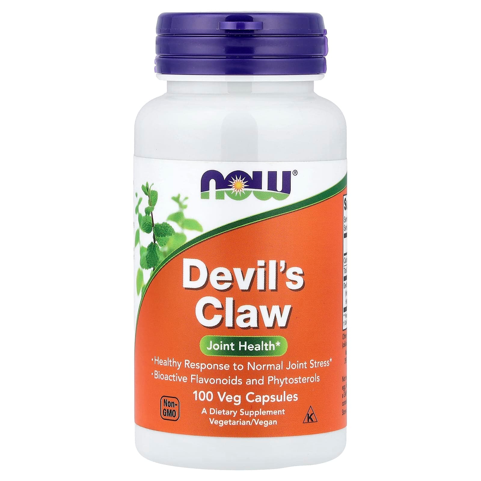 NOW Foods Devil's Claw – 100 gélules végétales de NOW Foods