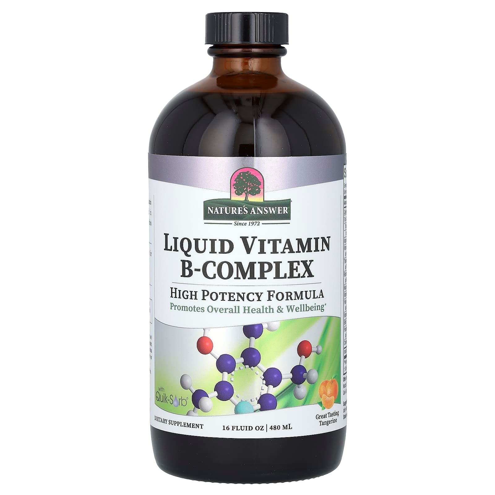 Nature's Answer Liquid Vitamin B-Complex, Great Tasting Tangerine – 480 ml de Nature's Answer