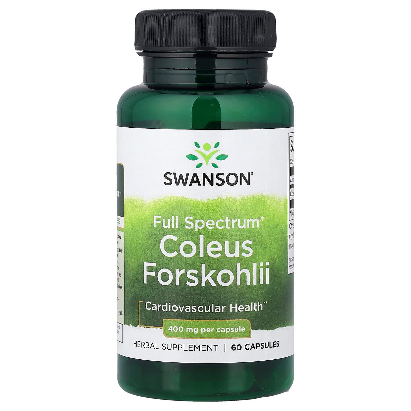 Swanson Vitamins Full Spectrum Coleus Forskohlii – 60 gélules de Swanson Vitamins